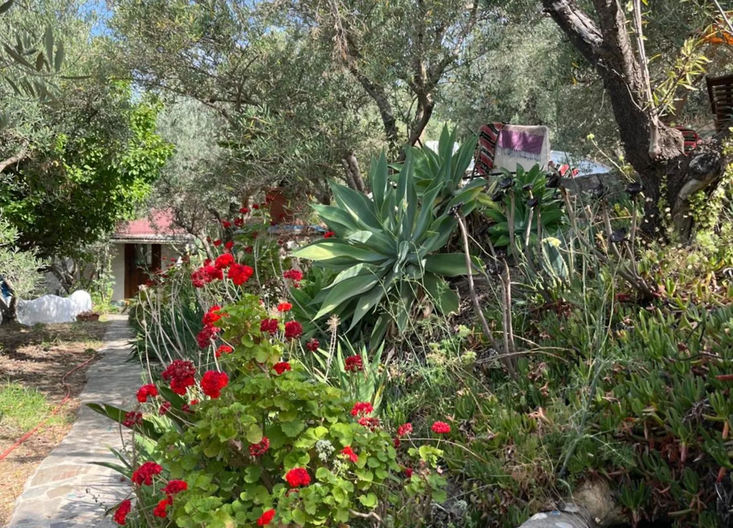 Casa Aziza , Le Charme Andalou Villa Lanjaron 0*,  Spain