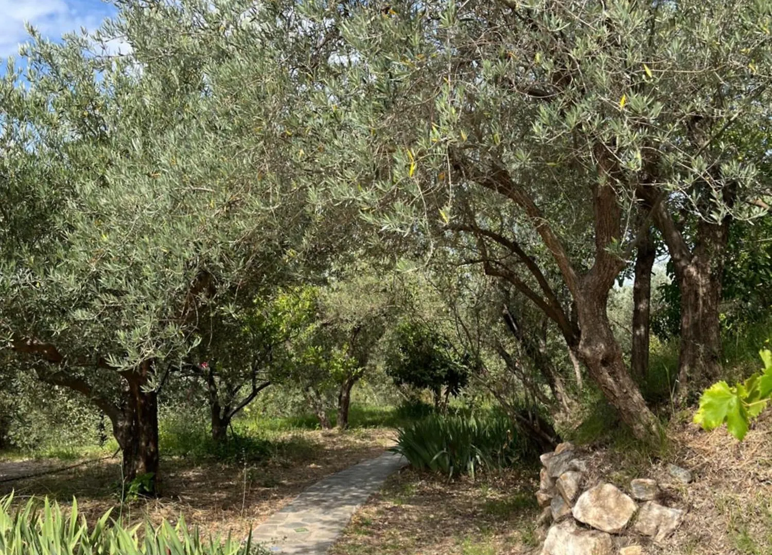 Holiday home Casa Aziza , Le Charme Andalou Villa Lanjaron Spain